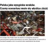 Rząd zawalił sprawę i zwala na Unię