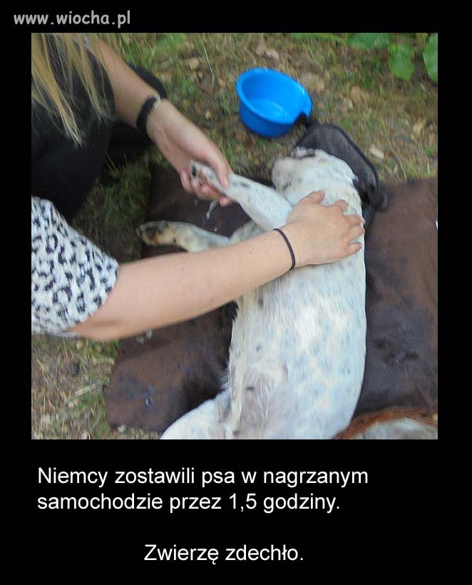 Świnoujście