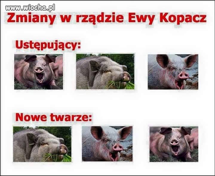 Folwark zwierzęcy