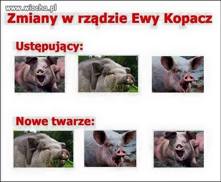 Folwark zwierzęcy
