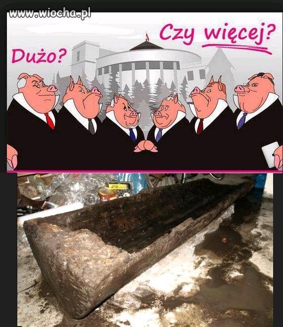Budżet Polski koryto puste a świnie dalej kwiczą.