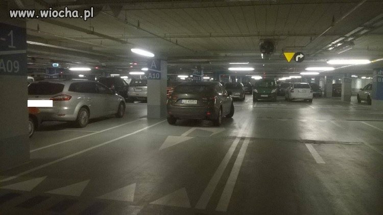 Mistrz parkowania w lubelskim wydaniu