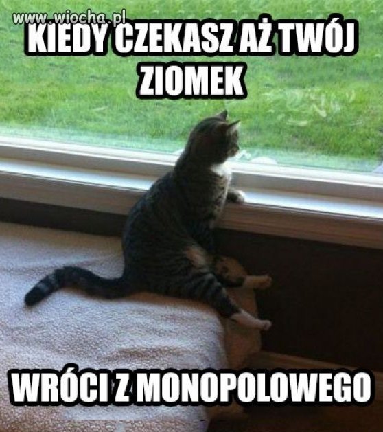 Oczekiwanie