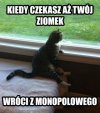 Oczekiwanie