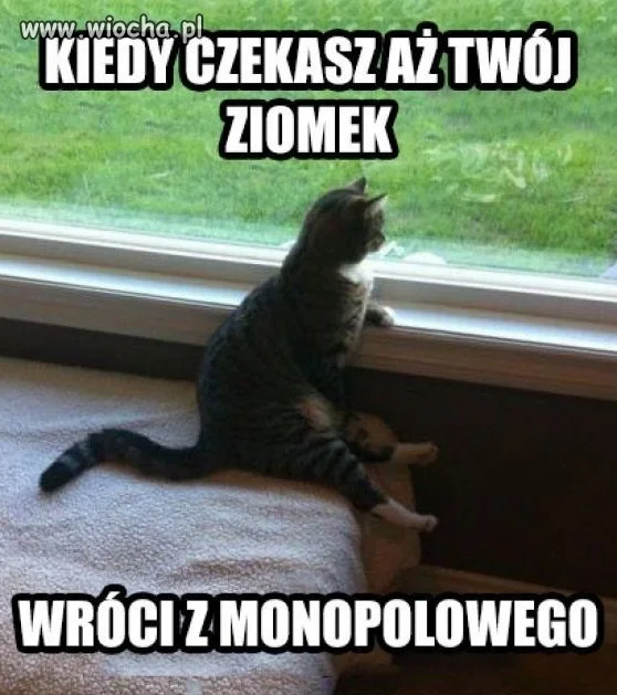Oczekiwanie