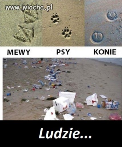 Sezon urlopowy tuż tuż