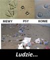 Sezon urlopowy tuż tuż