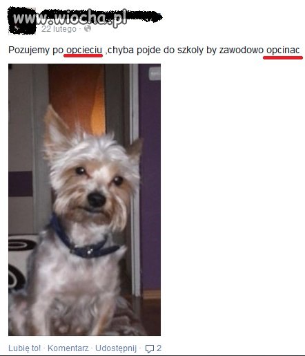 Pójść nauczyć się pisać!! 