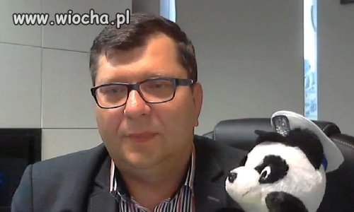 Zatrząsł burdelem - alfonsi kąsają! 