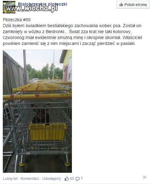 Białobrzegi - pod Biedronką