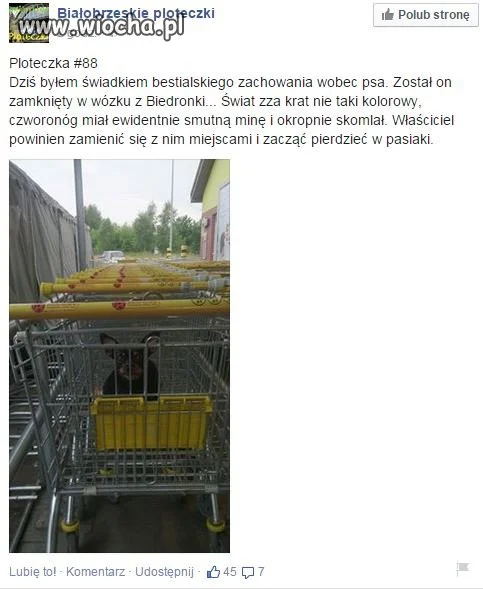 Białobrzegi - pod Biedronką