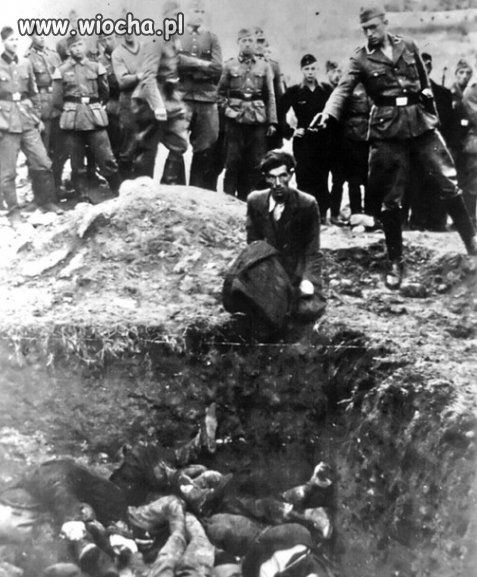 Za to właśnie nie lubię Niemców 