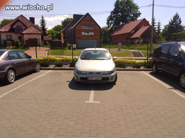 Parkowanie buraka