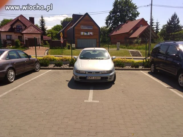 Parkowanie buraka