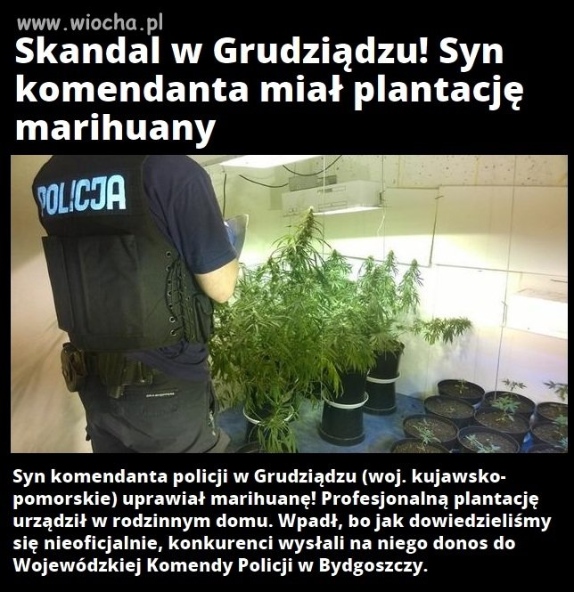 Wpadł, bo konkurencja doniosła 