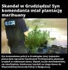Wpadł, bo konkurencja doniosła 