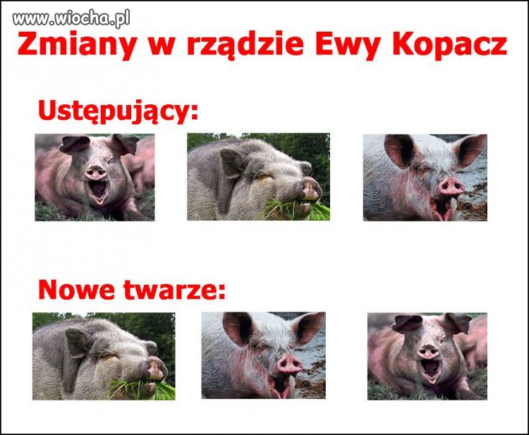 Zrobili wielki teatr na temat zmian