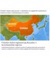 W Chinach potrafią walczyć z Islamem.