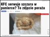 Bo to jest kura