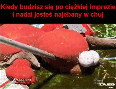 Niedziela rano