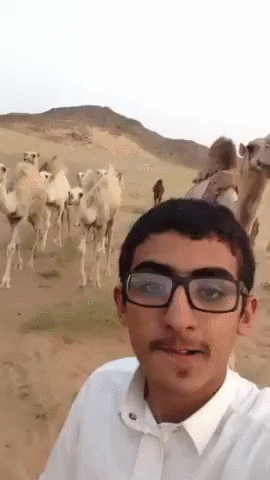 Nie ma robienia Selfie