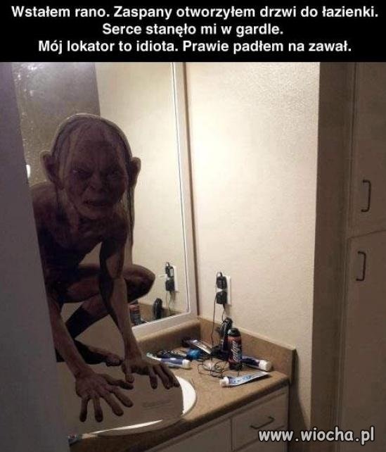 Współlokator