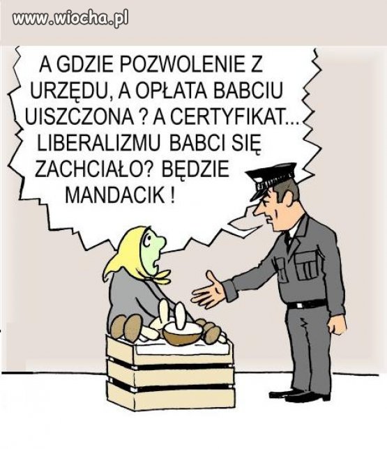 Pozwolenia, opłaty i inne. Wolny i przyjazny kraj