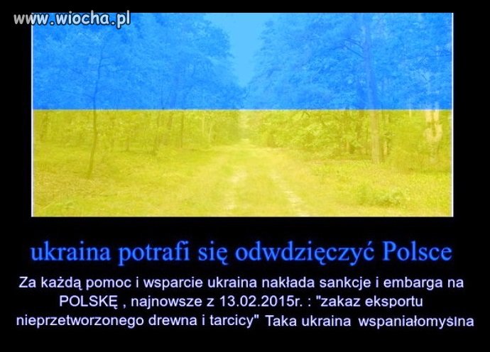 UPAina potrafi się odwdzięczyć za pomoc