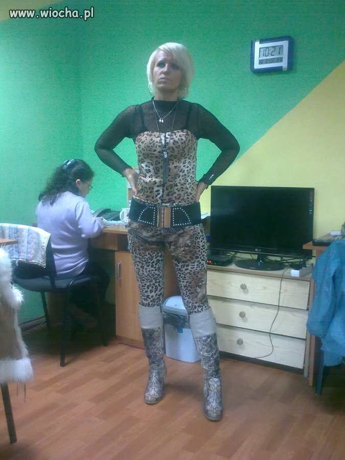 Kocica