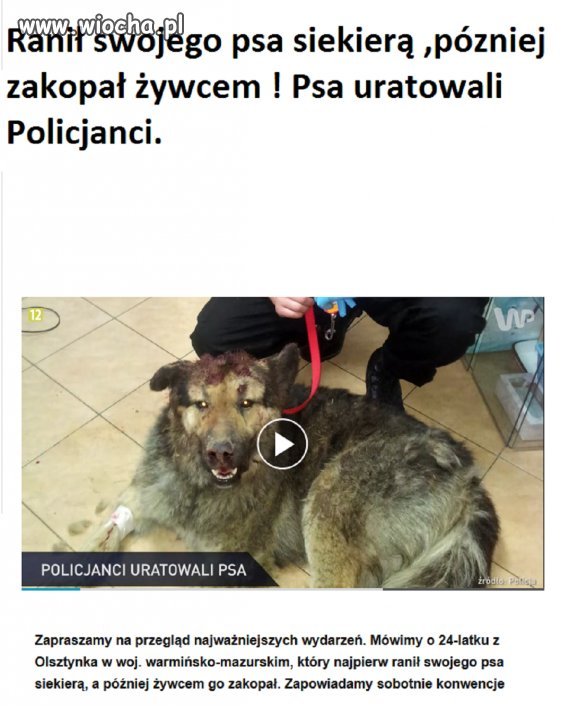 Zwyrodnialec z Olsztynka 