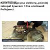 Zwyrodnialec z Olsztynka 