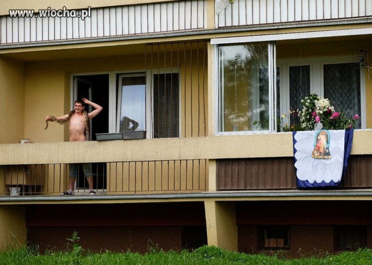 Polska w pigułce