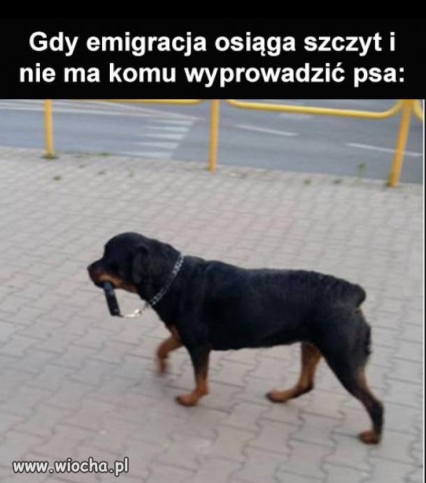 Nie ma komu...