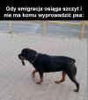 Nie ma komu...