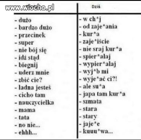 Coś w tym jest