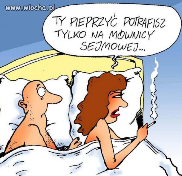 Polityk ...
