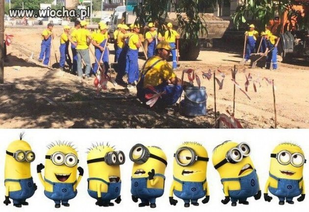 Minionki