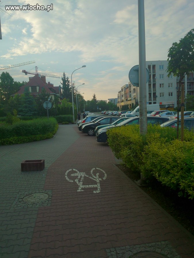 Wszystkiemu, jak zawsze, winni są cykliści