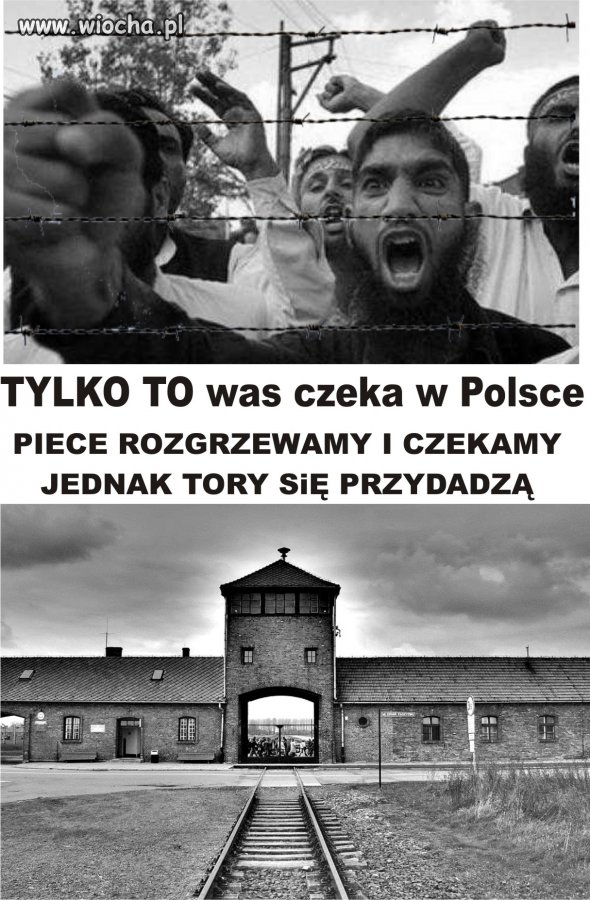 Tylko to was czeka