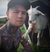Selfie z kozą
