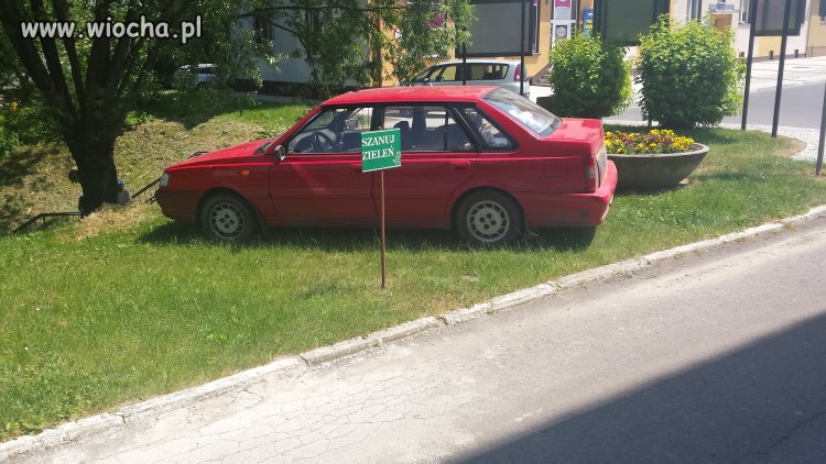 Poldek