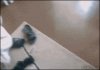 Kiedy wcześnie rano dostaje telefon