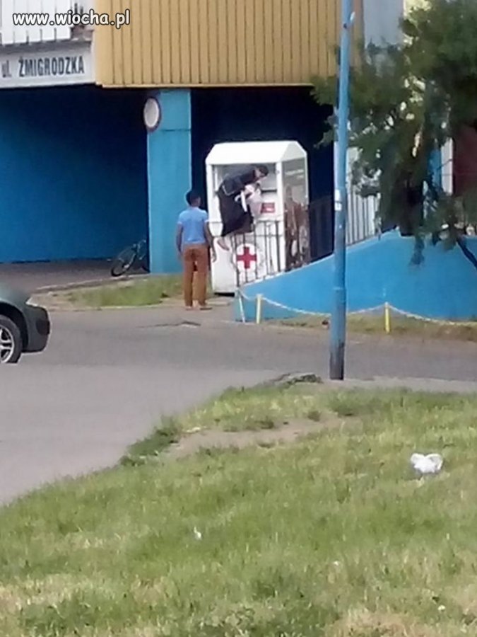 Łakatosze na łowach 