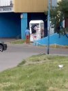Łakatosze na łowach 