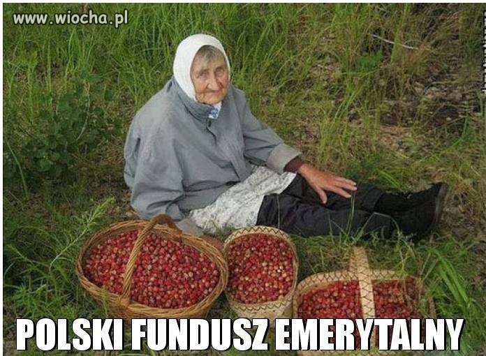 Witamy w Polsce