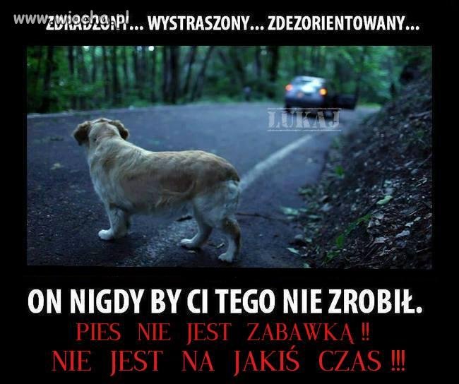 Niestety ten problem pojawia się każdego roku... 