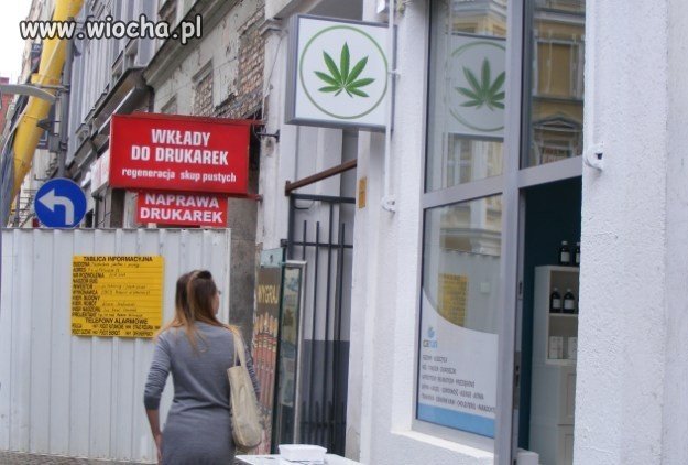 Sklep z produktami z botanicznej marihuany, Poznań