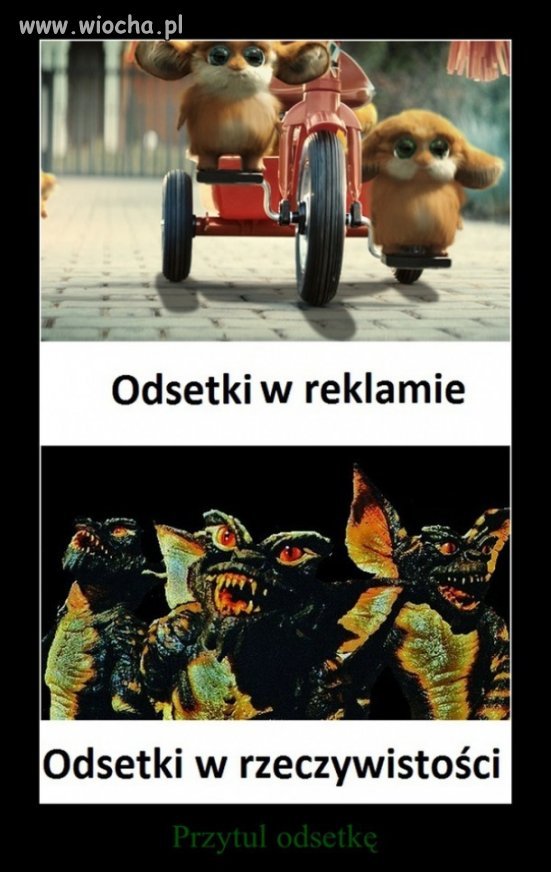 No takie życie 