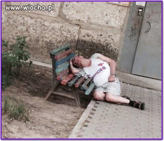 Dostosować się