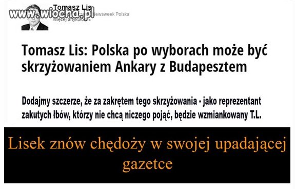 Lisek  